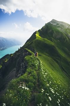 a breathtaking view of a hiking trail winding up a lush green mountain. the trail is lined with vibrant green grass, wildflowers, and rocky slopes. the distant mountains are bathed in a soft light, and the sky is a clear blue, dotted with a few fluffy clouds. the image captures the beauty and serenity of nature, making it ideal for a travel brochure or website.