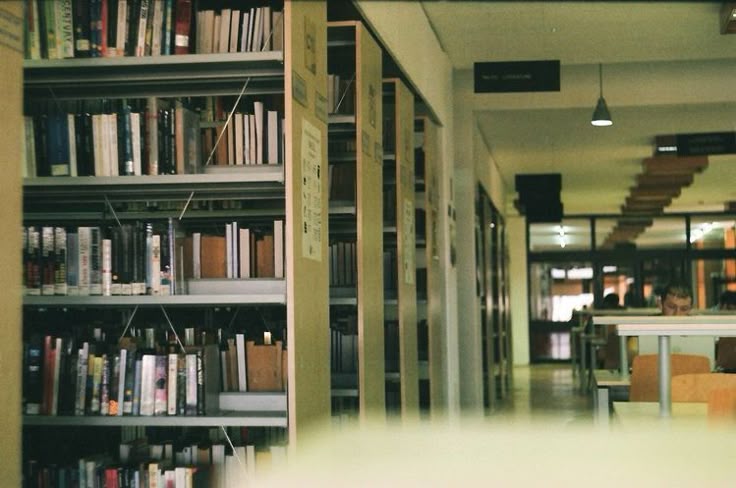 the image shows a long hallway or corridor in a library with numerous bookshelves filled with books. the shelves are organized and neatly arranged in rows. the perspective makes it seem long and narrow, leading the eye down the hallway. the lighting is dim and soft, and the background is slightly out of focus, which enhances the depth of field. a person is sitting at a desk or table towards the end of the hall, slightly blurred. the overall atmosphere feels peaceful, quiet, and studious.  the image gives off a contemplative and intellectual atmosphere.