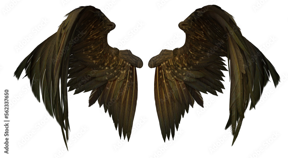 pair of dark, intricately detailed wings are isolated against a white background.  the wings appear feathery and have a slightly iridescent quality. they are spread wide, resembling those of an angel or demon. the image is a highquality 3d rendering or digital artwork.