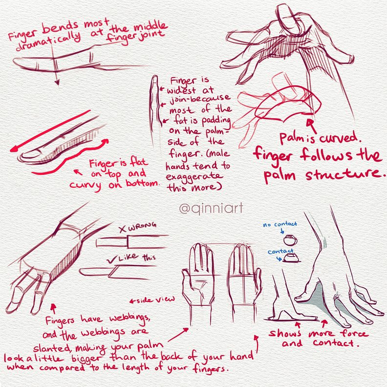 he image is a handdrawn tutorial on how to draw hands realistically. it features various sketches and annotations explaining different aspects of hand anatomy, such as the curvature of the palm, the shape and positioning of fingers, the presence of webbing between fingers, and how the fingers bend at the joints. the tutorial also emphasizes the differences between male and female hands and how force and contact points affect the hand's appearance.  the style is loose and expressive, characteristic of a quick sketch tutorial.  various examples of "correct" and "incorrect" drawing techniques are shown.