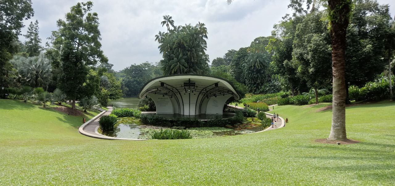 a picturesque view of a tropical garden in singapore. the lush greenery and serene pond create a tranquil atmosphere. in the center stands a wooden stage, surrounded by lush vegetation and a pond filled with lily pads. the garden is a popular spot for relaxation and enjoyment, and its beauty is evident in the photo.