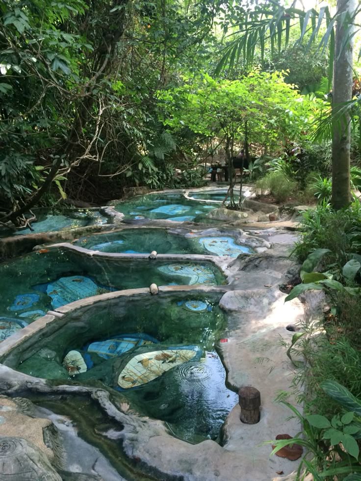 the image showcases a series of interconnected pools cascading through a lush, tropical setting. the pools are lined with stones and feature mosaic tiles in the water. the surrounding area is filled with dense vegetation, including trees and various plants, creating a tranquil and natural landscape.