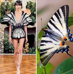 the image is a split image, with a fashion model on the left side and a butterfly on the right side. the model is wearing a white and black butterflyshaped dress with wings. the butterfly on the right side of the image is also white and black with stripes. the background of both sides of the image is blurred. the image is an interesting combination of fashion and nature.