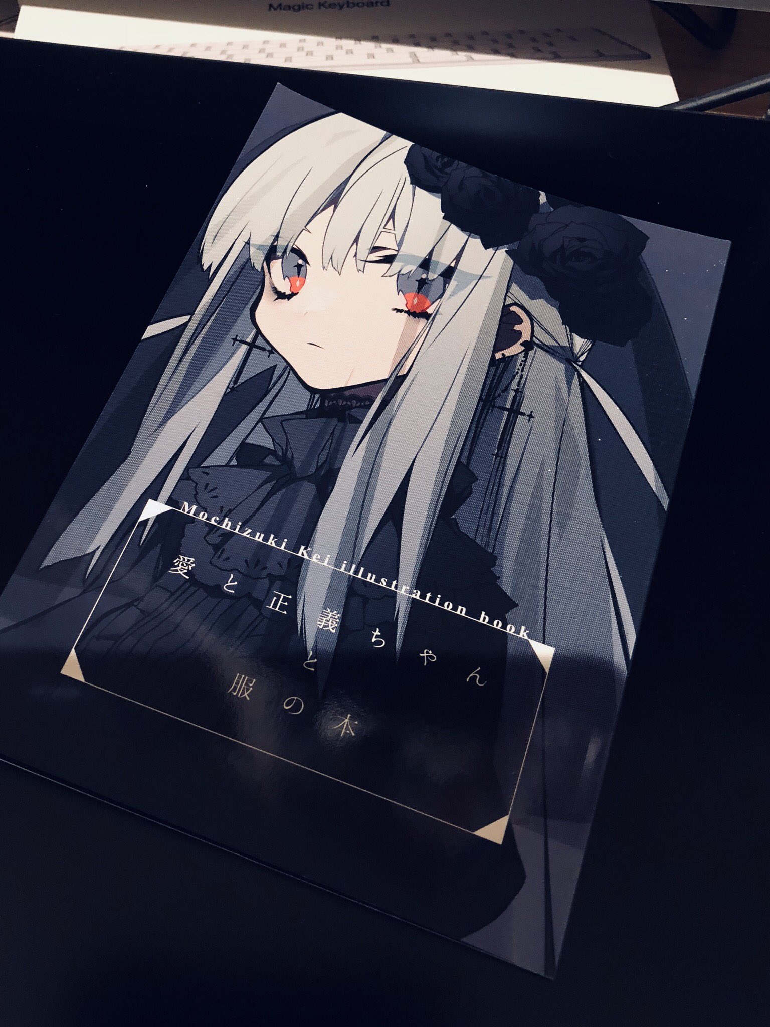 this is an image of an illustration book cover with an anime girl drawn on it in a gothic style. the girl has white hair and is wearing black clothing. the background is black and the text is in japanese. the image is taken from an eyelevel perspective.