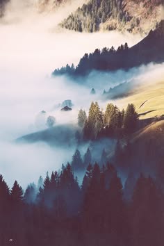 a mesmerizing view of a mountain landscape blanketed in a thick fog. the trees stand tall, shrouded in mist, creating a mysterious and ethereal atmosphere. the fog creates a sense of depth and dimension, making the scene feel almost surreal. the soft, diffused light adds to the overall sense of tranquility and serenity.