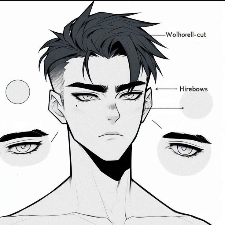 this image is a detailed line drawing of an animestyle male character's head and shoulders.  the drawing is primarily in grayscale and emphasizes the character's features.  the hairstyle is labeled "wolhorellcut," and the eyebrow style is labeled "hirebows."  there are also closeup examples of the eye and eyebrow styles shown.  the overall style is clean and precise, suitable for an art tutorial or reference image.
