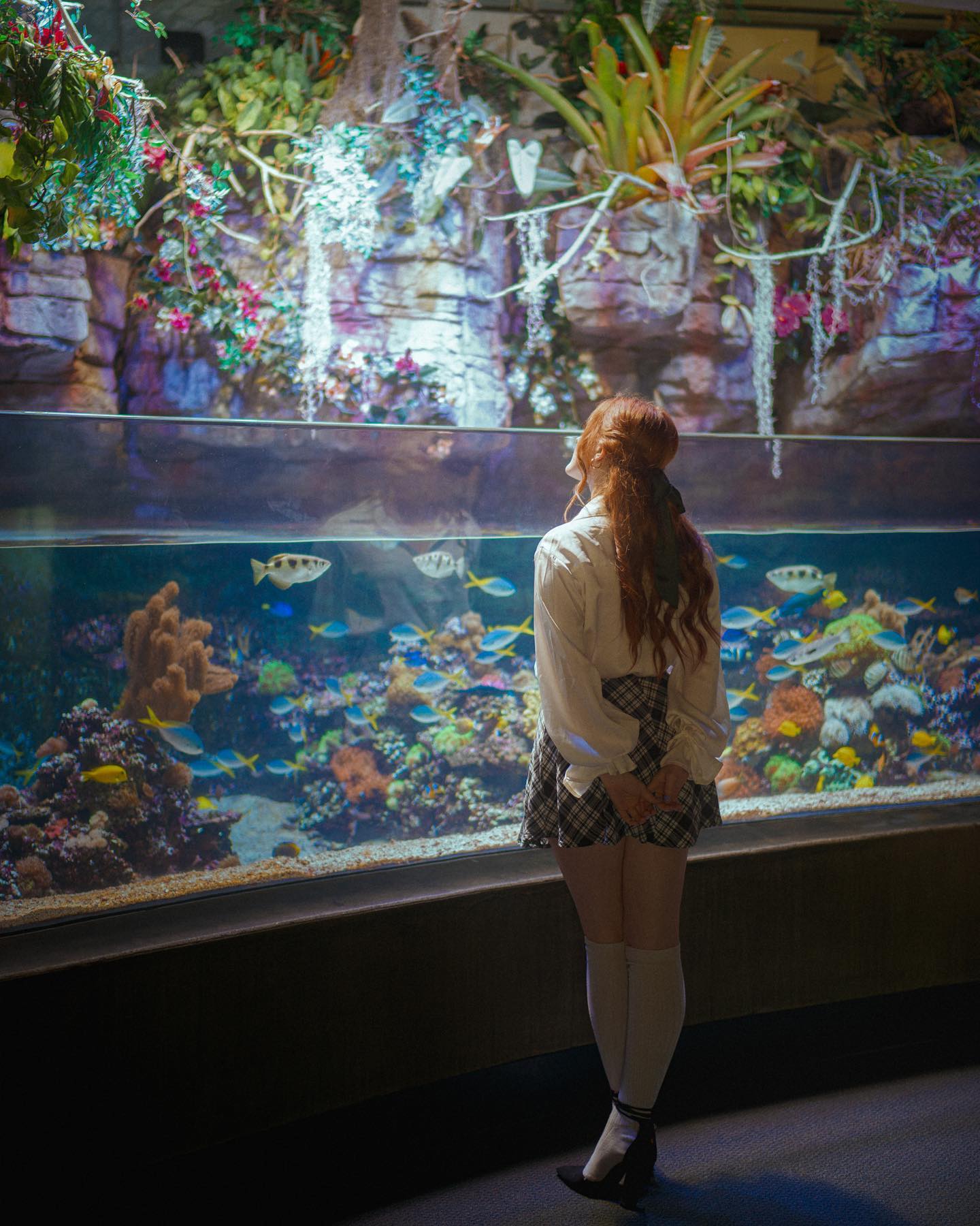 a young woman with long red hair, styled in a ponytail, stands contemplatively before a large, welllit aquarium.  her back is to the camera, offering a view of her white blouse, plaid skirt, white kneehigh socks, and black mary jane shoes.  the aquarium teems with colorful fish swimming amongst coral and rocks. above the waterline, lush green plants and flowers cascade downwards, creating a vibrant and captivating scene.