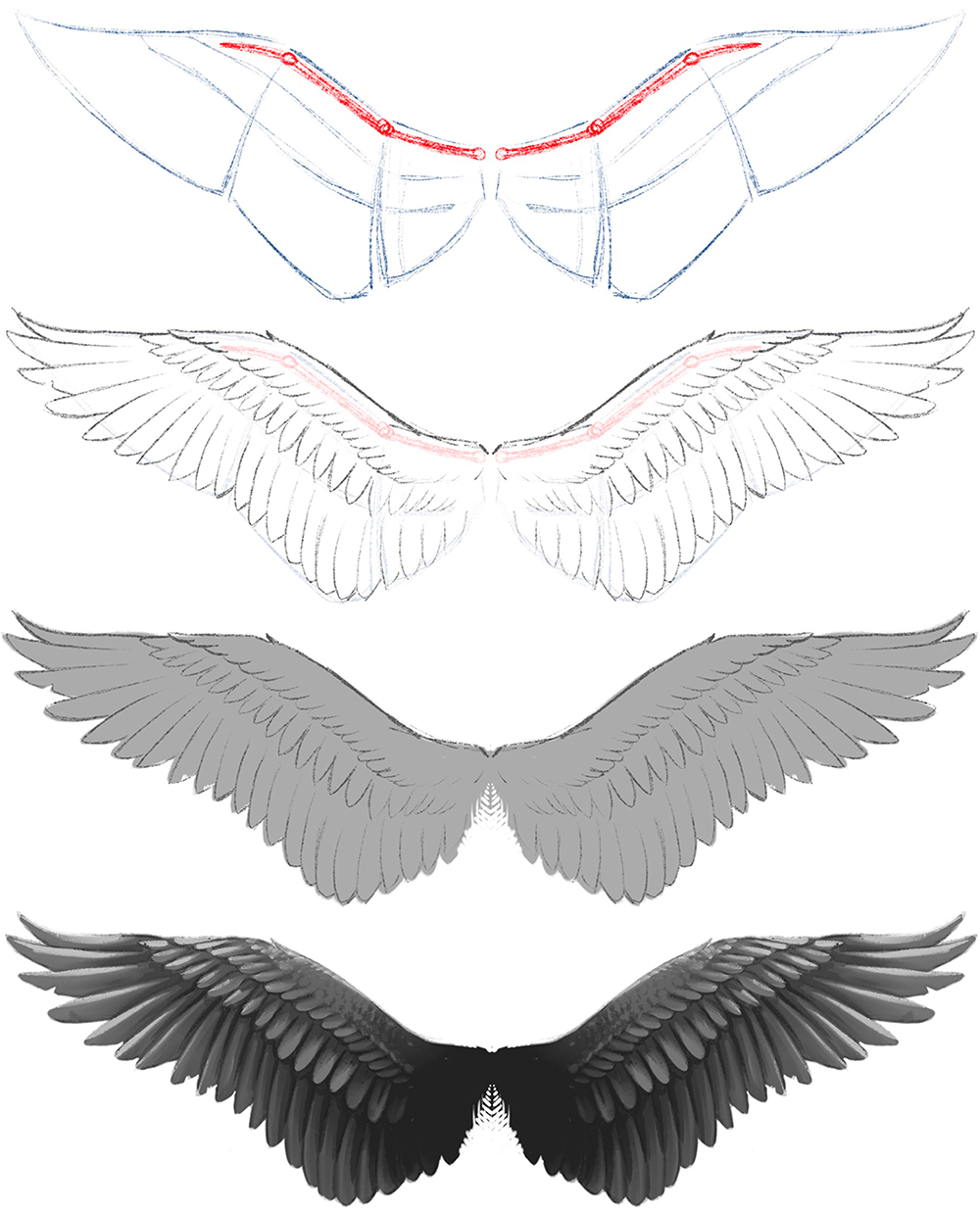 the image shows a stepbystep drawing tutorial of how to draw a set of wings.  the tutorial progresses from a basic skeletal structure (in blue and red lines outlining the wing's shape and joints) to progressively more detailed and shaded versions, eventually ending with a pair of fully rendered, darkcolored wings.  each stage depicts a refinement of the previous one, showing the addition of feathers and the use of shading to create depth and volume.  the style is clean and illustrative, suitable for artistic instruction.