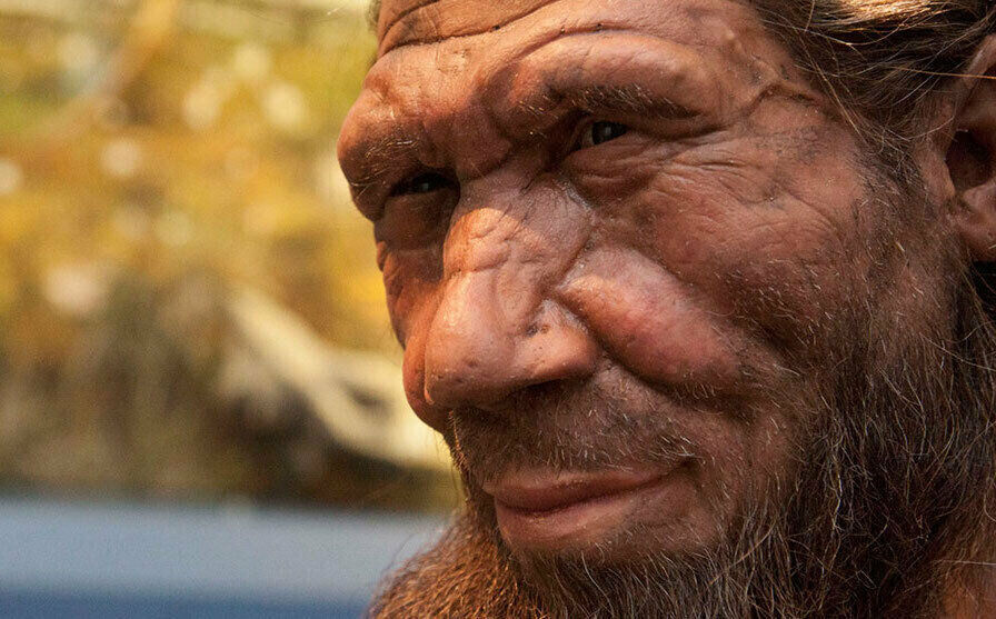 a closeup image of a meticulously crafted reconstruction of a neanderthal male's face. the model exhibits characteristic features of neanderthals, such as a prominent brow ridge, a large nose, and a receding chin.  the skin texture and facial hair are highly detailed, giving a realistic impression. the background is blurred, drawing focus to the neanderthal's face. the image likely depicts a museum exhibit or artistic representation of neanderthal appearance.