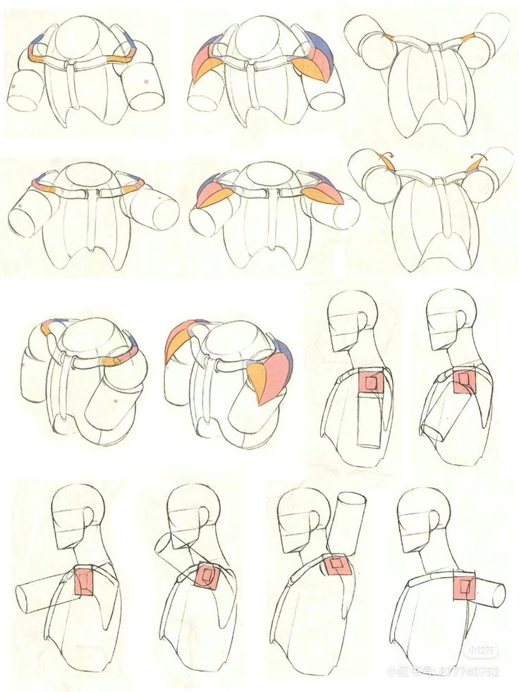 the image is a collection of anatomical sketches of the human shoulder and chest, focusing on the muscle structure. the sketches are in black and white, with some colored highlights, and show different views of the shoulder, including front, side, and back. there are a total of 12 sketches.