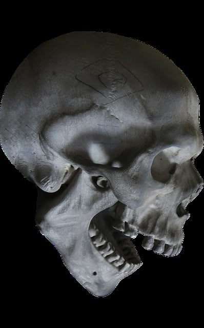 the image shows a graycolored human skull in a side view, with its mouth slightly open. a diamondshaped symbol is etched on the skull's forehead. the skull is set against a black background.