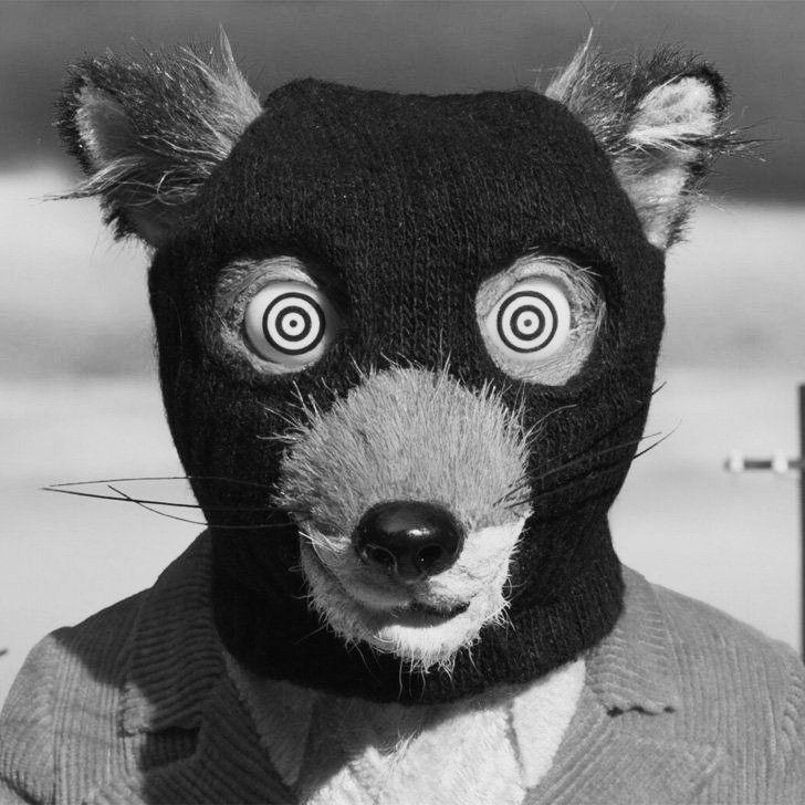 a black and white portrait of a fox wearing a black mask. the mask covers the fox's eyes and nose, but the fur around the eyes and nose is visible. the fox's mouth is slightly open, revealing its teeth. the background is a blurry white. the image is creepy and surreal.