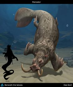 an illustration depicts a large, tusked sea creature known as a "manador" in an underwater setting. it has a seallike body with a tail and flippers, but also has tusks reminiscent of a walrus or boar. the manador is mottled with spots and appears to be swimming or diving downwards. to the left of the creature is a silhouette of a mermaid. the background shows an underwater scene with sand and rocks. the artwork is credited to ilse gort and is labeled as part of a project called "beneath the waves."