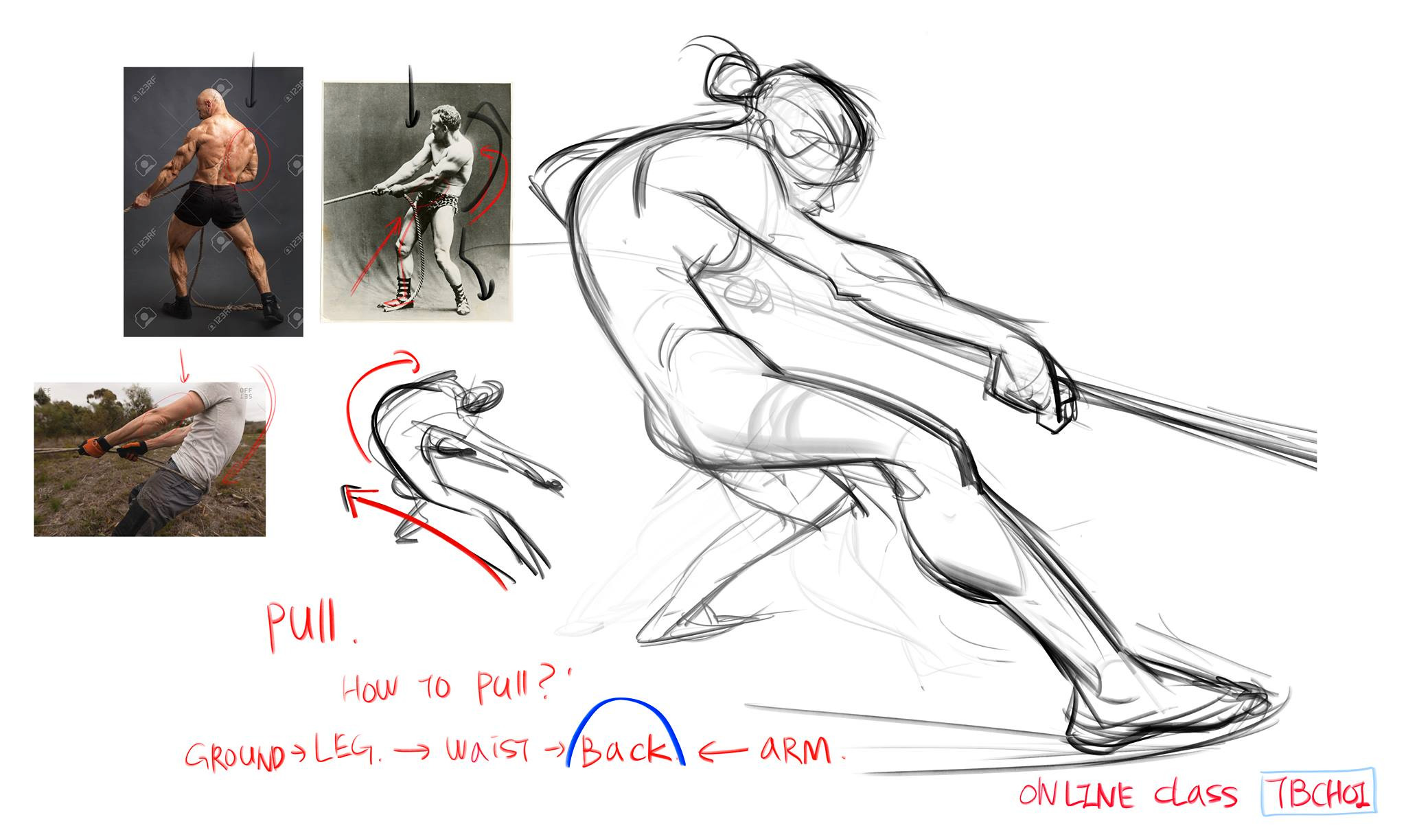 the image is a collection of sketches and reference photos used for a figure drawing tutorial focusing on depicting the action of pulling, such as in a tugofwar.  it shows multiple views of individuals pulling a rope, including a detailed dynamic figure drawing at the center. smaller images show photographic references for different angles and a simplified gesture drawing that captures the movement's essence.  annotations highlight the flow of movement from the ground, through the legs, waist, and back, culminating in the pulling arm. the overall style is loose and dynamic, suggesting a focus on capturing the energy and motion of the action.  there is a watermark or signature indicating it is part of an online class.