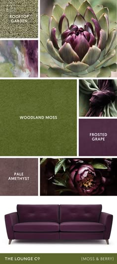 this image shows a purple sofa with a green moss and berry color palette inspiration. the colors are displayed in swatches alongside images of moss, berries, and grapes.  there is also a small section that shows a pale amethyst color.  at the bottom of the image, there is a label that says "the lounge c9 [moss & berry]" indicating that this color palette is intended for use in a living room setting.