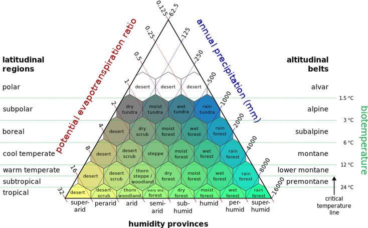 the image presents a bioclimatic diagram, also known as a climate diagram. this diagram depicts a graphical representation of climate zones and their associated vegetation types. it uses a triangular grid system to illustrate the relationships between potential evapotranspiration, annual precipitation, and biotemperature. the vertical axis represents biotemperature, and the horizontal axis represents potential evapotranspiration.  the different zones of the diagram are labeled with climate types and associated plant communities, ranging from deserts to rainforests. additionally, the image shows latitudinal zones on the left and altitudinal belts on the right, indicating the distribution of these climate types and vegetation across different geographical regions. it provides a visually comprehensive overview of the major world biomes and their climatic conditions.