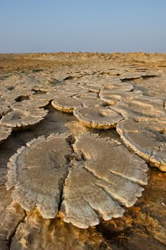 an aerial view of a large salt flat in a desert. the ground is covered in cracked, dry earth, with a pattern of circular shapes, like a giant honeycomb, created by the salt formations. the sky is clear and blue.