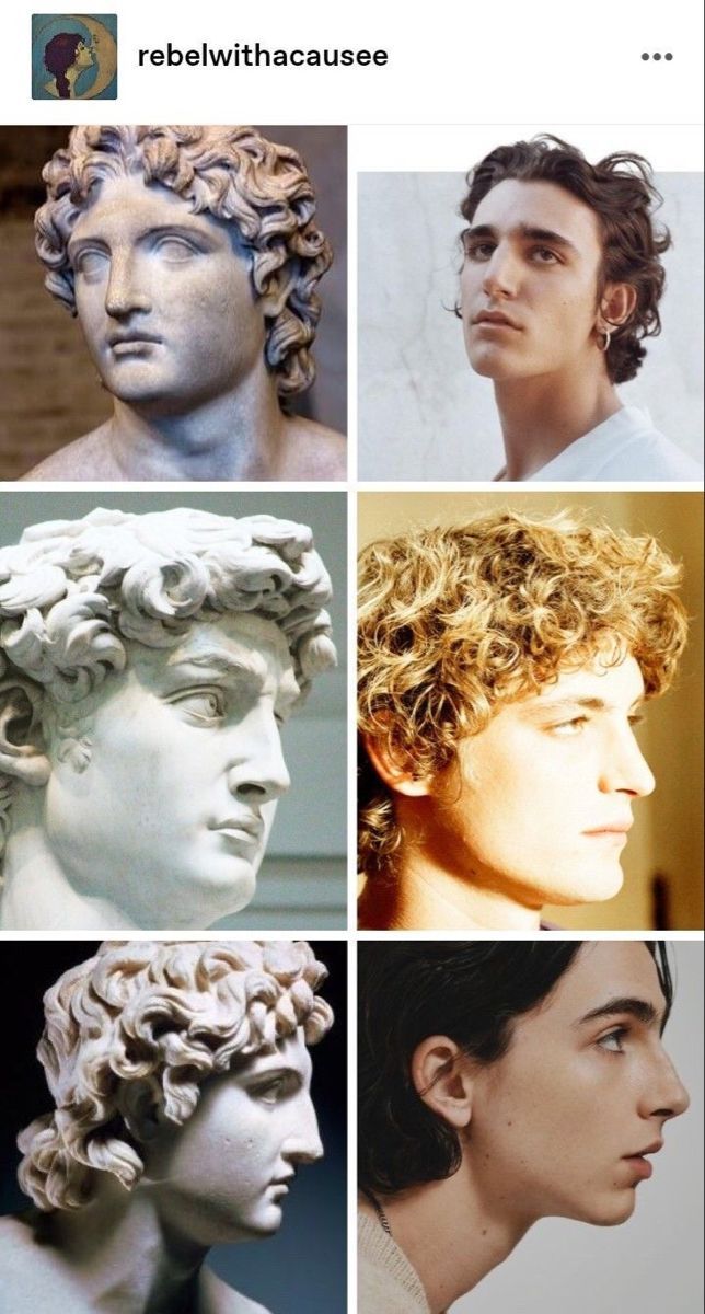 the image is a collage that juxtaposes classical sculptures of human heads with portraits of modern men, exploring the aesthetic similarities in their facial features and hairstyles. the sculptures, crafted from marble, showcase idealized forms with intricate curls. on the right side, portraits of men with similar features and hairstyles are presented. the composition invites viewers to compare the timeless ideals of beauty in classical art with contemporary standards. the collage is likely intended to highlight the enduring appeal of certain facial structures and hairstyles throughout history.