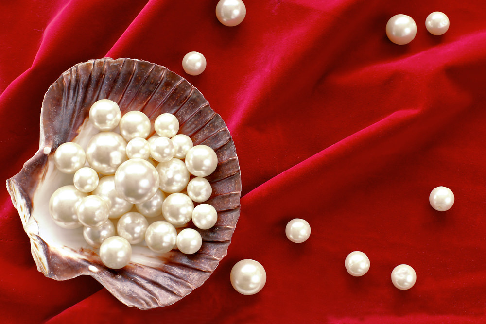 a large scallop shell filled with white pearls is lying on red velvet.  there are also numerous individual pearls scattered on the velvet surrounding the shell.