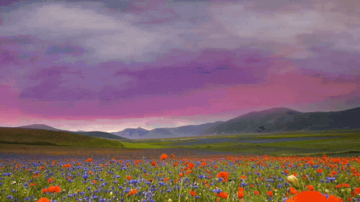 a vibrant landscape featuring a field of red poppies and blue cornflowers in the foreground. rolling green hills lead to distant mountains. the sky is a dramatic mix of purples and pinks, indicating a sunset. the scene evokes a sense of natural beauty and tranquility.