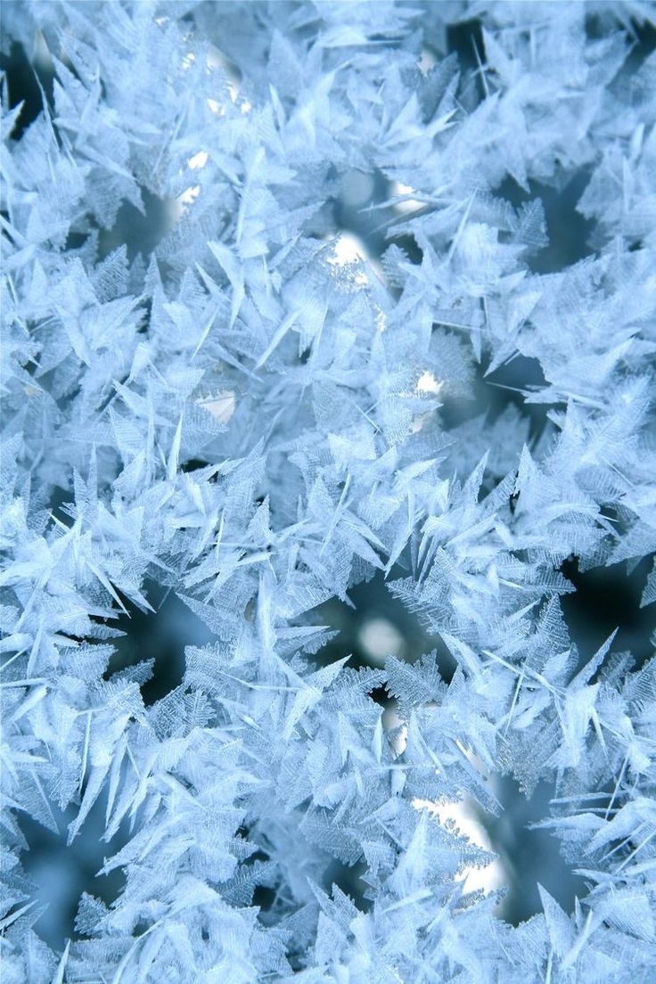 he image is a closeup shot of frost patterns on a window or similar surface.  the frost forms intricate, delicate, and sharp ice crystals in shades of light blue and white. the crystals are densely packed together, creating a complex and beautiful texture. the background is slightly blurred, drawing attention to the detailed frost formations in the foreground. the overall impression is one of cold, wintery beauty and delicate natural artistry.