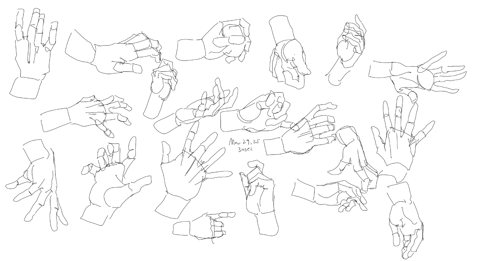 a collection of hand drawings and sketches done in line art. the image shows a variety of hand poses and gestures.
