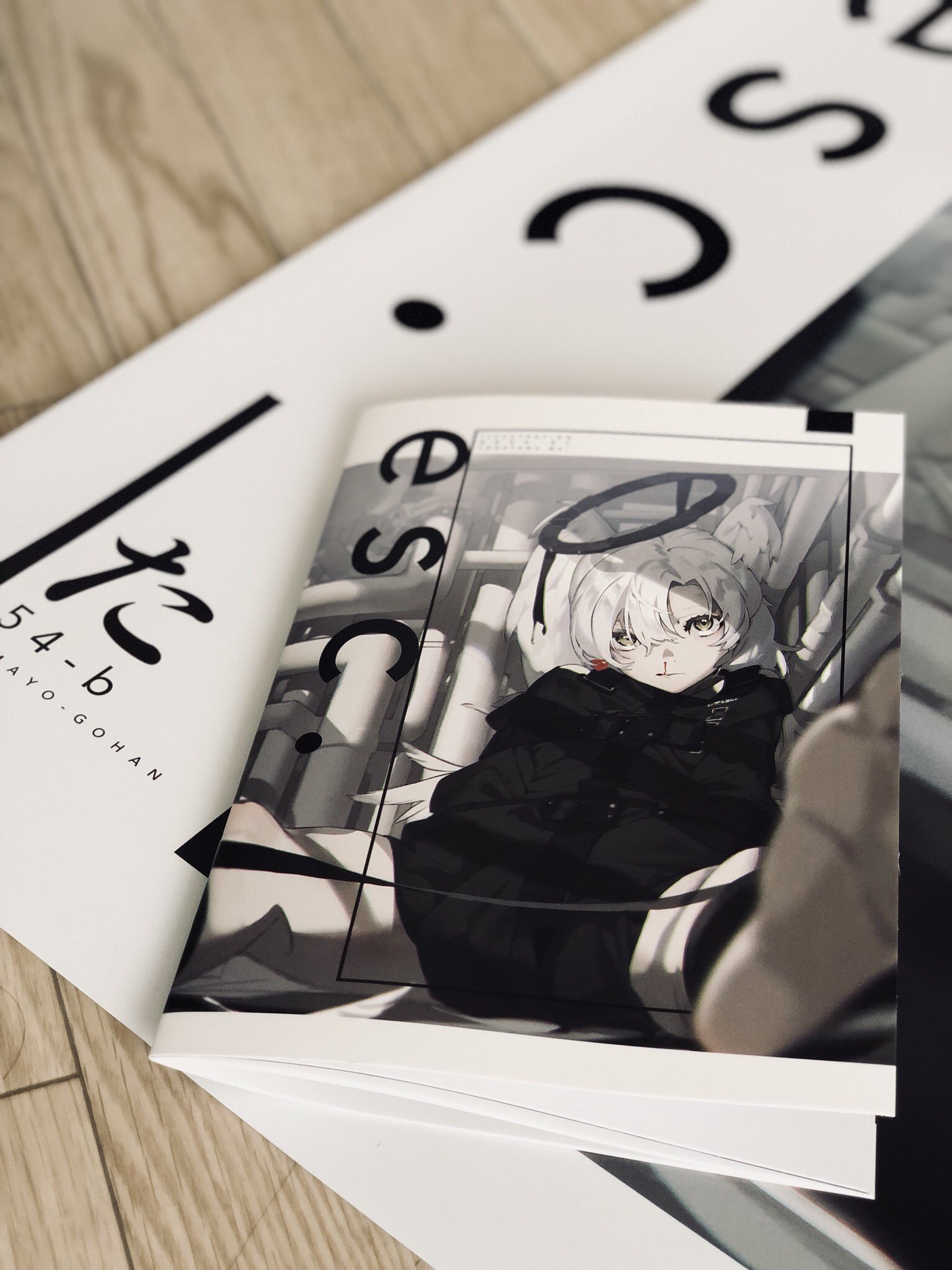 this is a closeup shot of a printed illustration book or booklet. it features an anime girl with white hair and a black halo sitting on pipes. the book is placed on a wooden floor, with a matching poster behind it. the poster has the text ".css" on it. the overall color scheme is black, white, and gray, with artificial lighting.