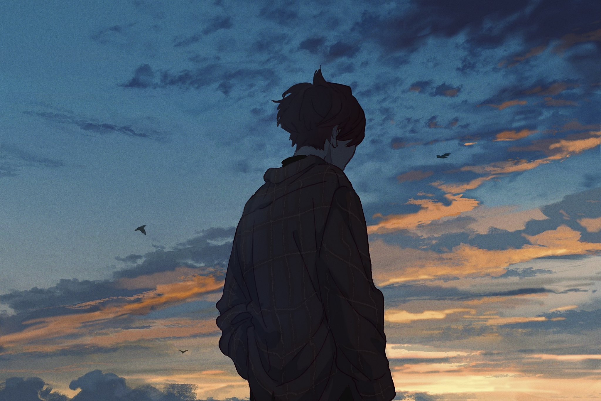 the image shows a young man with brown hair, wearing a darkcolored plaid jacket over a hooded sweatshirt. he stands with his back to the viewer, gazing towards a breathtaking sunset sky. the sky is a canvas of vibrant colors, with shades of deep blue transitioning into warm oranges and yellows near the horizon. scattered clouds drift across the expanse, their edges kissed by the golden light of the setting sun. two birds soar gracefully in the distance, adding to the sense of tranquility and vastness. the man's posture suggests a moment of quiet contemplation, perhaps reflecting on the beauty of the natural world or lost in thought.