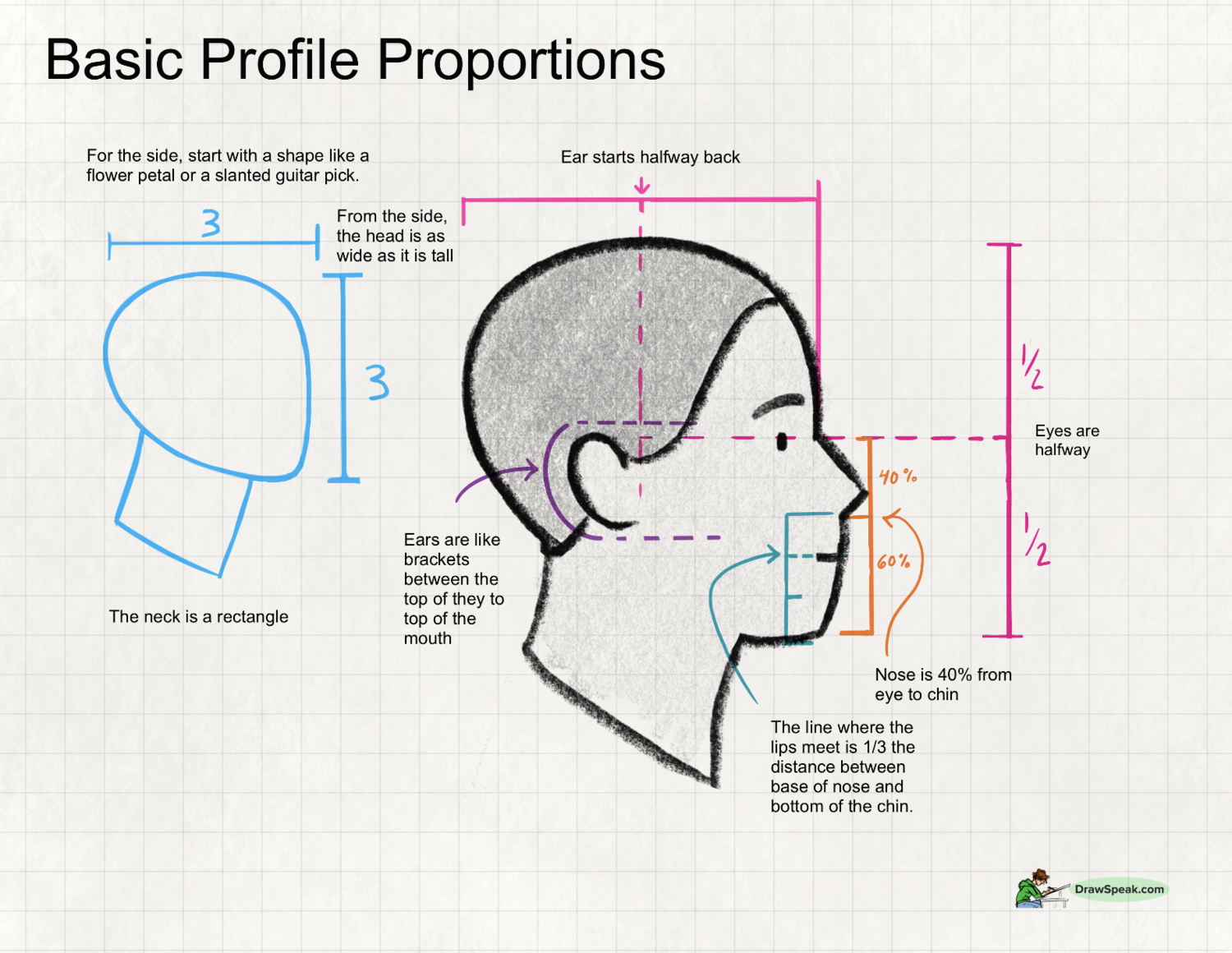 he image is a tutorial on drawing a basic profile of a human face. it provides guidelines and proportions for various facial features, such as the head, ear, eye, nose, mouth, and chin. the tutorial uses simple shapes and measurements (expressed in percentages and fractions of the total height) to guide the artist in creating a wellproportioned profile.  the overall style is clean and easy to follow, using numbered and labeled diagrams.  the image is set against a gridded background, common in drawing tutorials.