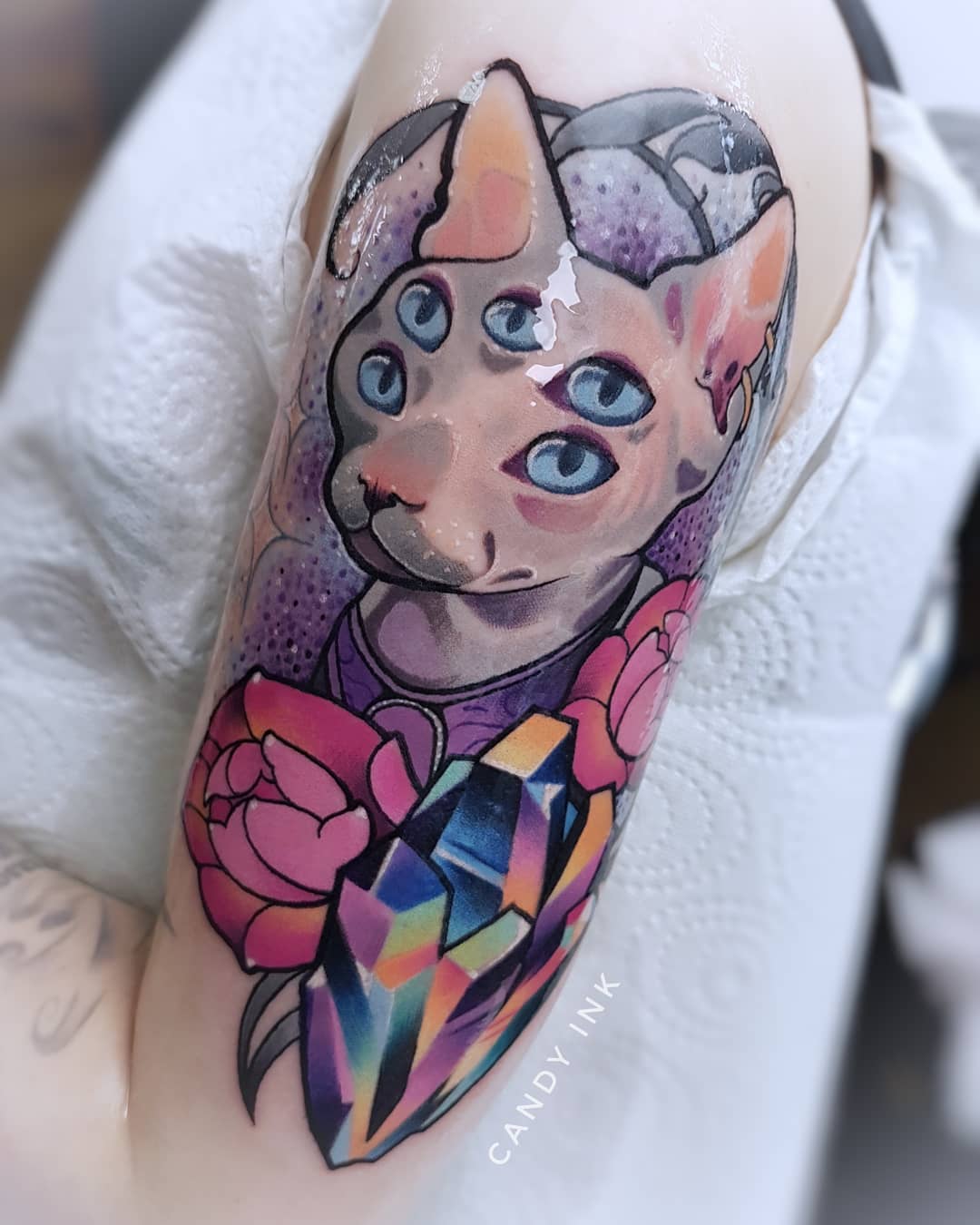 a closeup photograph showcasing a freshly done tattoo of a hairless sphynx cat with multiple eyes on the upper arm. the cat wears an ornate collar and is surrounded by flowers and a colorful crystal. the tattoo is vibrant with shades of pink, purple, and blue.  the background reveals a glimpse of the tattoo parlor setting.