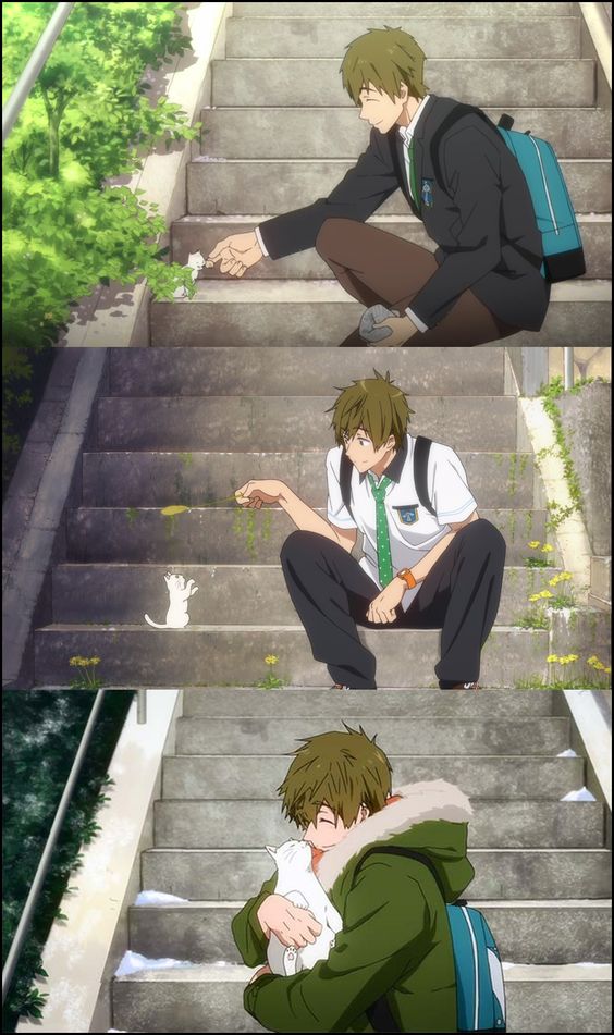 the image shows three different instances of the same anime character at different ages. the character is a boy with green hair, and he is shown sitting on a set of stairs. he is interacting with a white cat in each of the panels. the first panel shows him as a teenager, wearing a school uniform and a brown jacket. he is reaching out to pet a white cat, which is running away from him. the second panel shows him as a young adult, wearing a white shirt and a green jacket. he is petting a white cat, which is sitting on the steps next to him. the third panel shows him as an adult, wearing a green jacket. he is hugging a white cat, which is sitting on his lap.