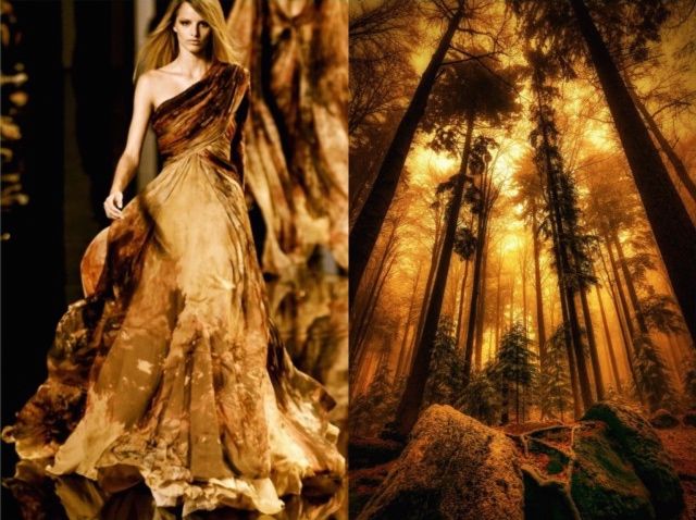 the image is split into two halves. the left side shows a model wearing a gold and brown dress with a flowing skirt. the right side shows a forest with tall trees and warm sunlight filtering through the canopy. the image evokes a feeling of autumn and nature.