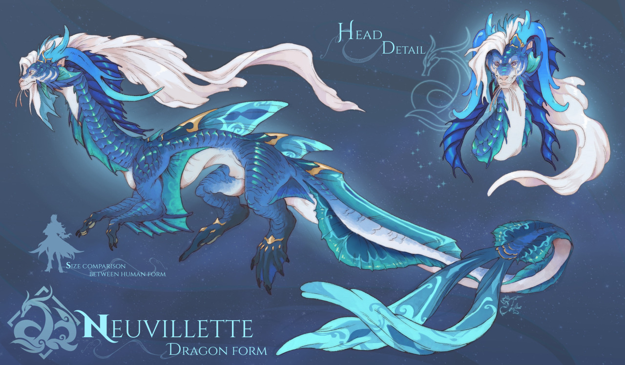 a digital illustration of a long, serpentine eastern dragon with flowing white hair. it is predominantly teal blue with white markings, reminiscent of ocean waves. the dragon is depicted in its entirety against a dark blue starry background. a closeup detail of the dragon's head is presented in the top right corner, highlighting its intricate features. a small human silhouette in the bottom left corner emphasizes the dragon's impressive size. the artwork is titled "neuvillette" and labeled as "dragon form".