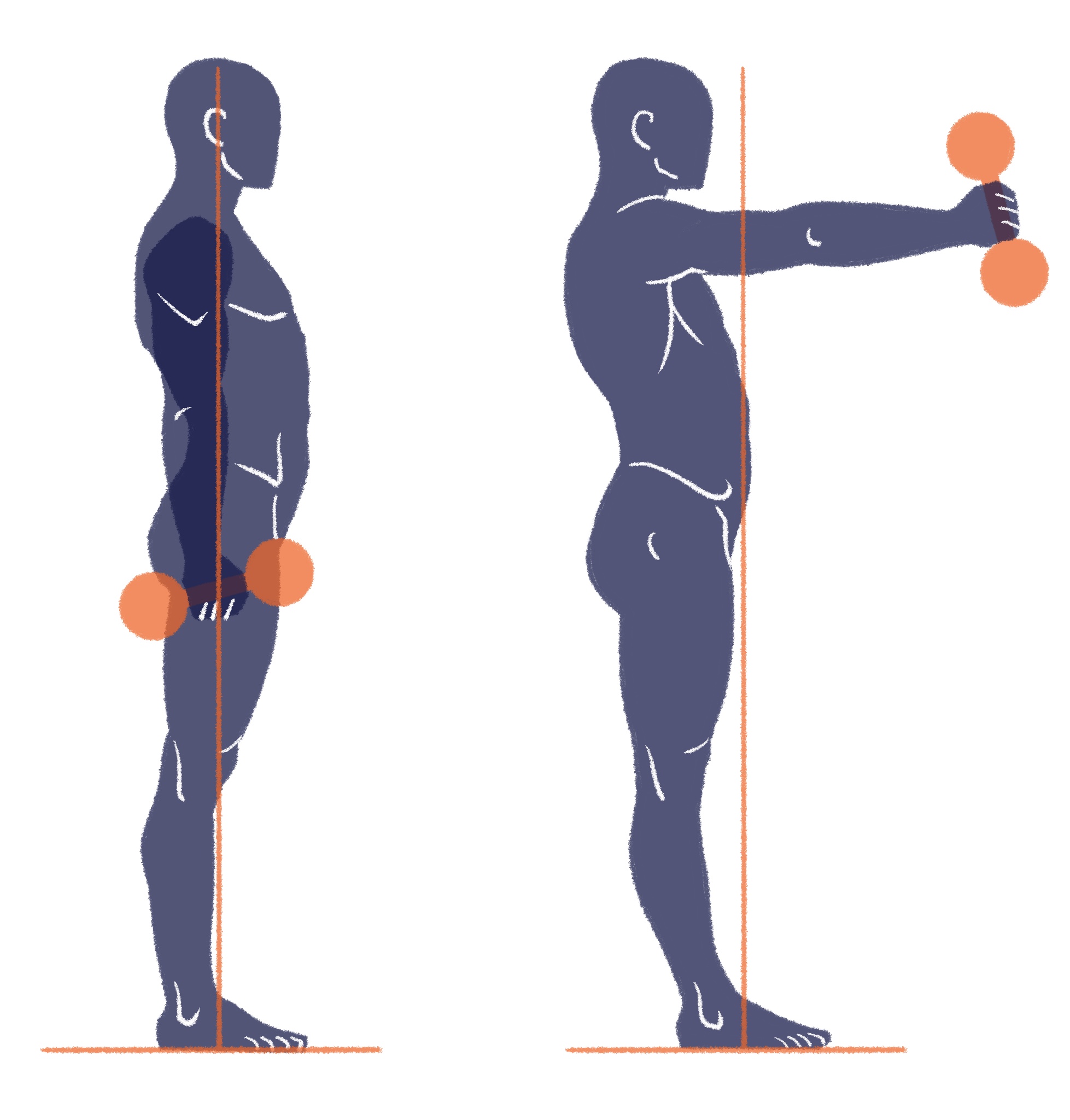 the image is a sideview illustration of a man performing a lateral raise exercise with dumbbells. the figure is shown in two stages of the movement, starting with the weights held at his side and then raising them to shoulder height. the image has a flat, illustrative style with limited detail, focusing on conveying the mechanics of the exercise. a vertical line helps to illustrate the proper posture throughout the exercise.