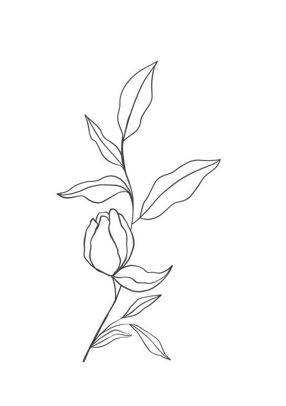 a single flower on a stem with leaves, drawn in a simple line art style.