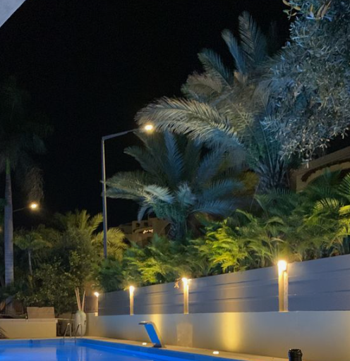 a swimming pool at night. the pool is surrounded by palm trees and other plants. the pool is lit by lights that are placed around the perimeter of the pool. the sky is dark and the stars are not visible.