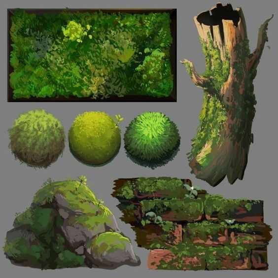 this image is a collage of digitally painted swatches of moss in various shapes and textures. the swatches showcase moss growing on different surfaces, such as rocks, tree trunks, and brick walls.  the different perspectives and lighting variations allow for a comprehensive view of moss in its natural environment.