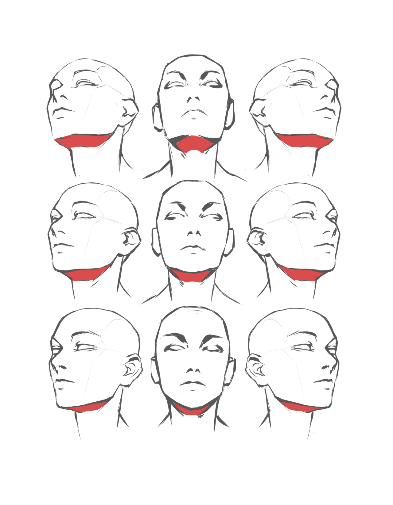 the image is a black and white anatomical drawing reference of a human head and neck from various angles. the neck muscles are highlighted in red.  there are nine heads in total, arranged in a threebythree grid, showcasing slight variations in head tilt and rotation.  each head is drawn with minimal detail, focusing on the structure of the neck and its connection to the head.  the style is simple and illustrative, serving as a helpful guide for artists studying anatomy.