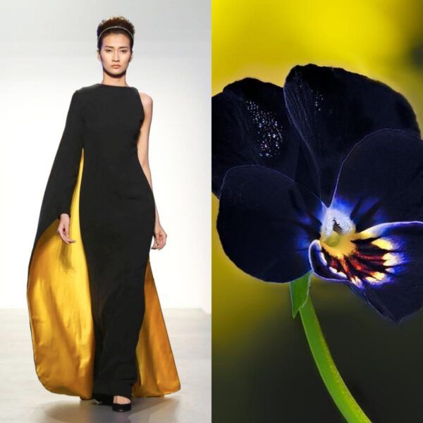 a woman in a black dress with a yellow cape is standing on a white background. the dress has a yellow side panel. in the background, a black pansy flower with green stem is on a yellow background. the woman's hair is pulled back and she is wearing a black headband.  the flower is out of focus.