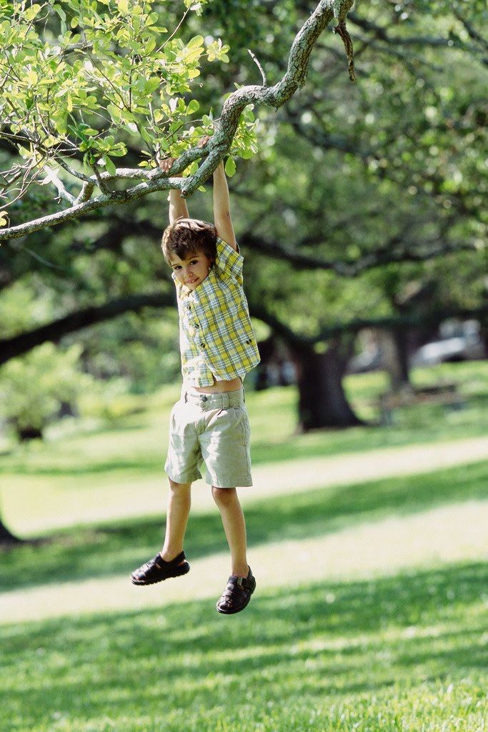 a young boy is hanging from a tree branch outdoors. he is wearing a yellow and white plaid shirt, khaki shorts, and brown sandals. he is suspended in the air, with a green lawn and trees in the background. the scene is bathed in sunlight.