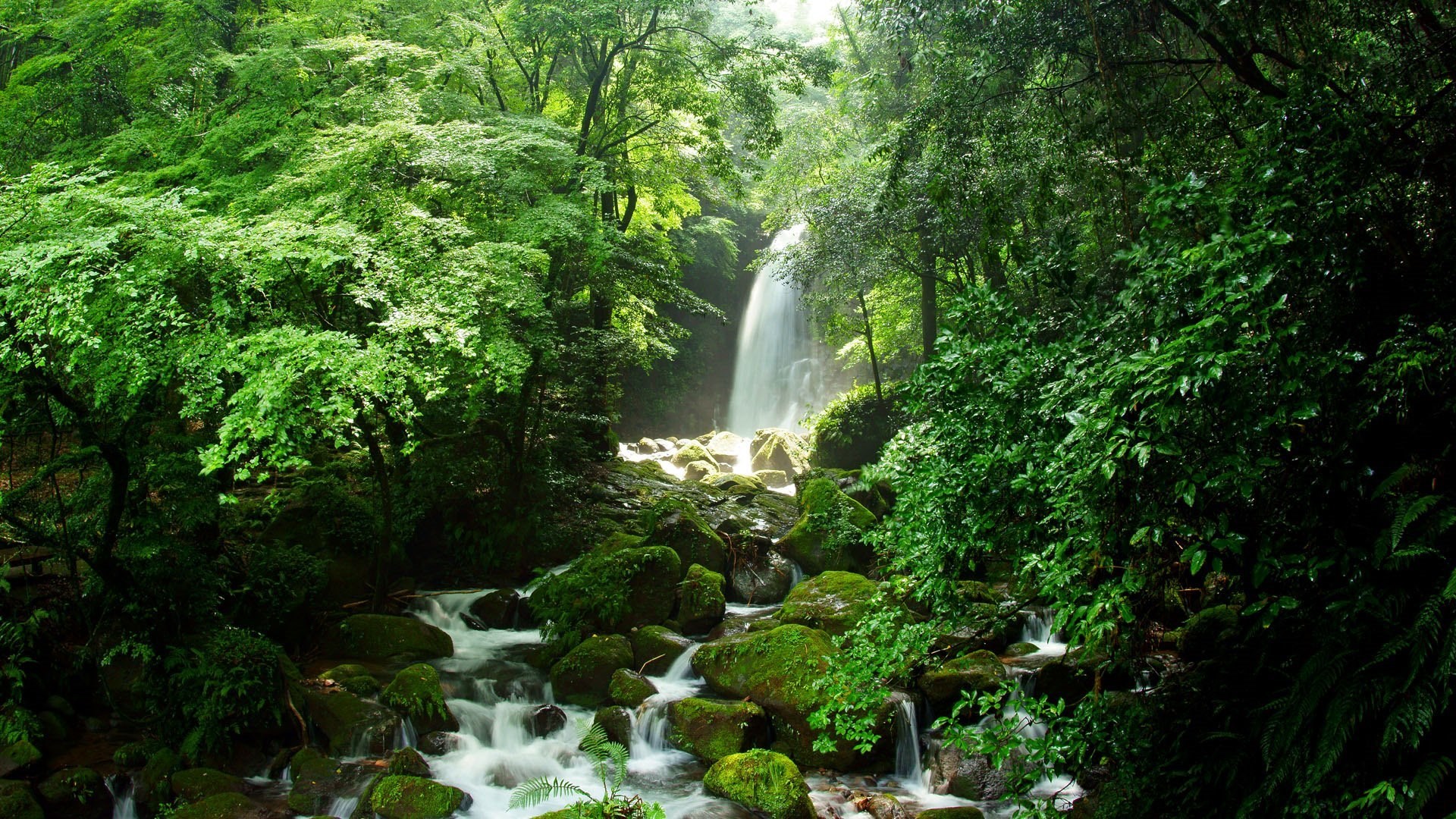 the image captures a serene forest scene centered around a beautiful waterfall. sunlight filters through the lush green canopy, dappling the rocks and flowing water with light and shadow. a stream rushes over mossy rocks in the foreground, leading the eye towards the waterfall cascading down a rocky cliff in the middle distance. the dense foliage surrounding the waterfall creates a sense of secluded tranquility.