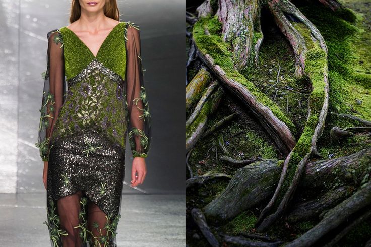 the image showcases a unique juxtaposition of fashion and nature. on the left, a fashion model is adorned in an intricate green dress. the dress is made of sequins and features a delicate, almost botanical embroidery of green leaves and flowers. the model is positioned in a sleek, modern setting. on the right, the image presents a closeup view of the forest floor. the ground is covered in a thick layer of moss, interspersed with gnarled tree roots that weave through the green.  the contrast between the fashion and the nature creates a visually compelling dialogue, hinting at a connection between the two. the dress, with its intricate green details, seems to draw inspiration from the natural world, suggesting a harmonious relationship between fashion and the environment.