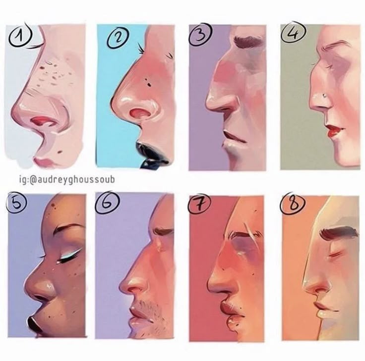 the image shows a collage of eight different illustrations of noses in profile. each nose is numbered from 1 to 8 and displays unique shapes and features, such as upturned tips, prominent bridges, varying nostril shapes, and different skin tones. they are depicted in a stylized, artistic manner.