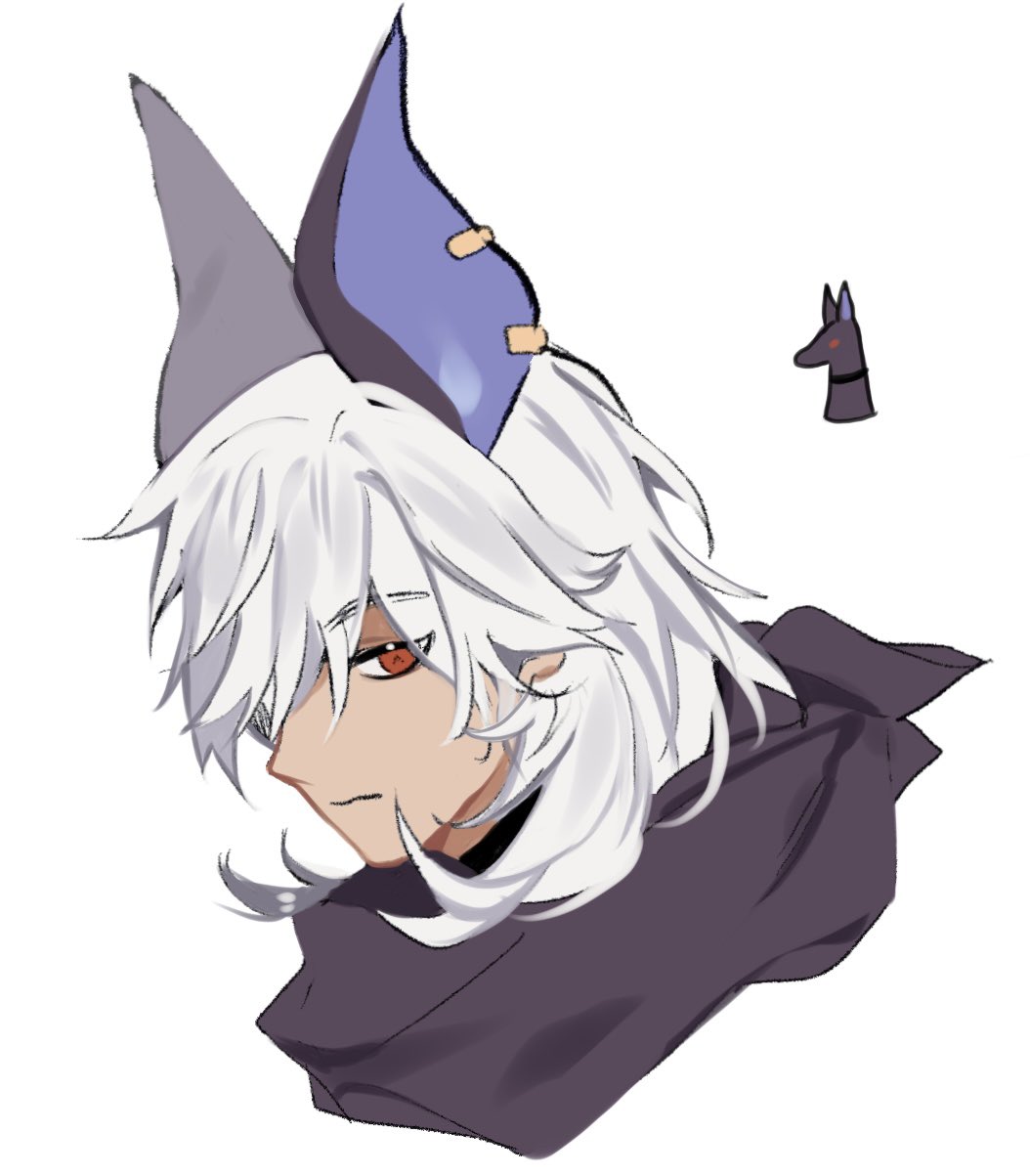 this is an anime character with white hair, wearing a purple hooded cloak, and with red eyes. the character has a jackal head as an ear. the image is drawn in a semirealistic style.