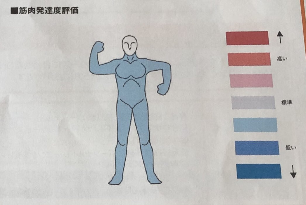 the image depicts a muscular human figure outlined against a simple scale, ranging from dark red at the top to dark blue at the bottom. this suggests a system for evaluating a characteristic related to the human body, likely muscle mass or strength. the figure is posed to emphasize musculature, further reinforcing this interpretation.  the japanese text "筋肉発達評価" at the top translates to "muscle development assessment", confirming the chart's purpose.
