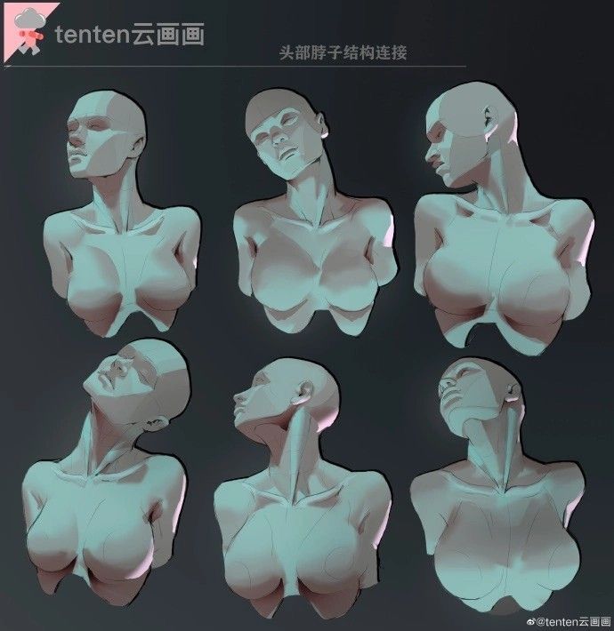 this image shows a series of anatomical drawings of the female torso and neck, with various poses and angles. it is a reference guide for artists and illustrators who want to improve their understanding of human anatomy.  the text in the image is chinese and translates to "head and neck structure" and "tenten's cloud painting."