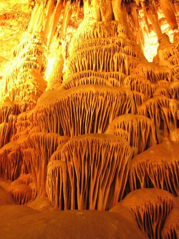 a mesmerizing view inside a cave filled with countless stalactites and stalagmites, forming a dazzling spectacle of nature's artistry. the intricate rock formations, illuminated by a soft, warm light, create a captivating interplay of shadows and textures. the orange and brown hues of the cave walls and the delicate patterns of the stalactites add to the beauty and mystique of this subterranean world.