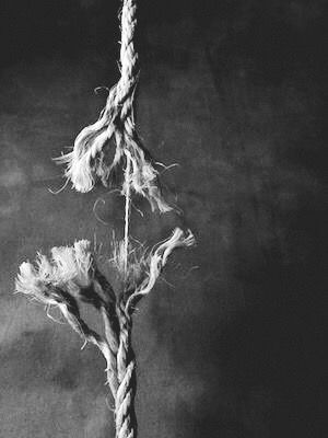 a black and white photo of a frayed rope hanging.  the rope is frayed and broken in multiple places.  the rope is hanging against a dark background.