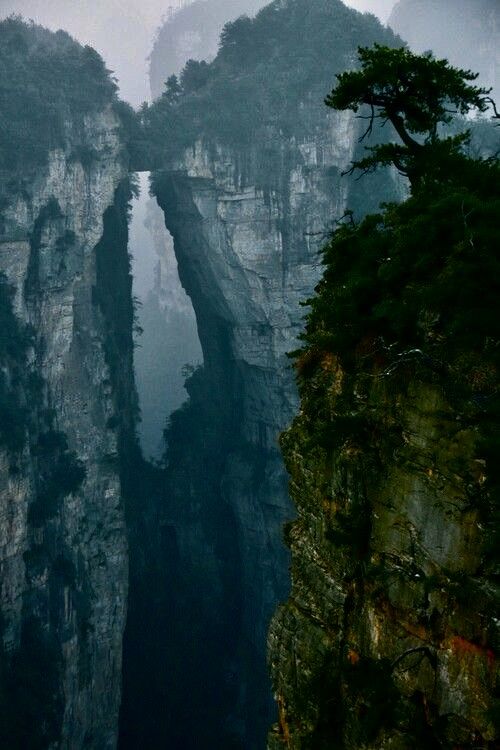 the image shows a deep canyon with tall, steep rock formations and lush greenery in zhangjiajie national forest park, china. mist hangs in the air, adding to the dramatic landscape. trees grow on the edges of the cliffs.