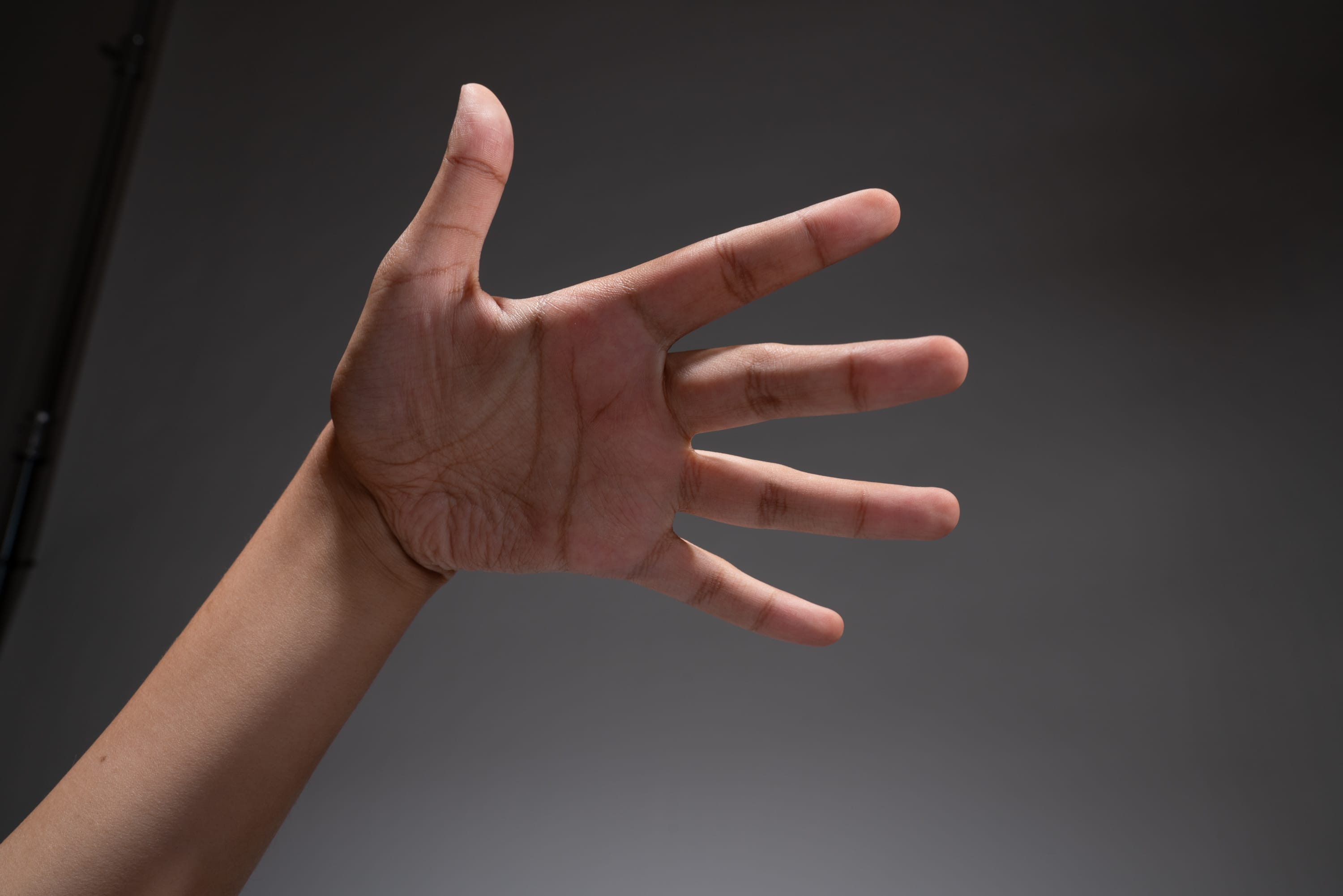 an image of a hand with all five fingers extended, set against a neutral gray background. the hand is positioned in a side view, revealing the palm and the intricate lines and textures of the skin. the lighting is soft and diffused, creating subtle shadows that accentuate the contours of the hand.